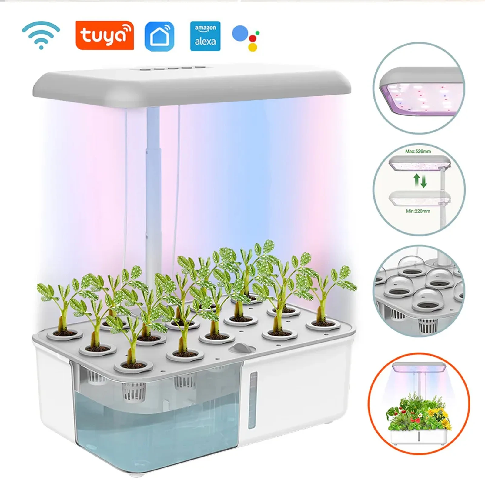 Tuya tanaman hidroponik WiFi s - Smart Garden Nursery ulasan dan harga
